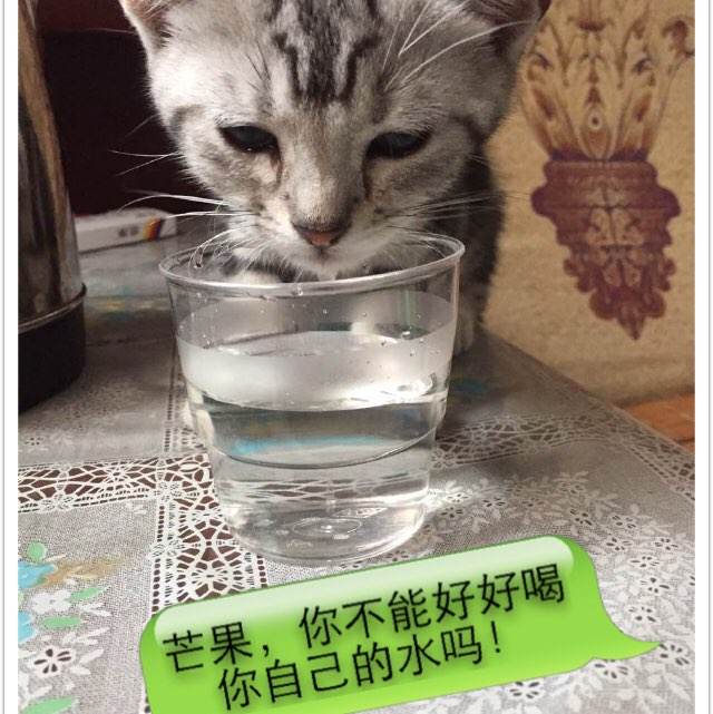 西南法伦应用技术大学建筑学文凭证书